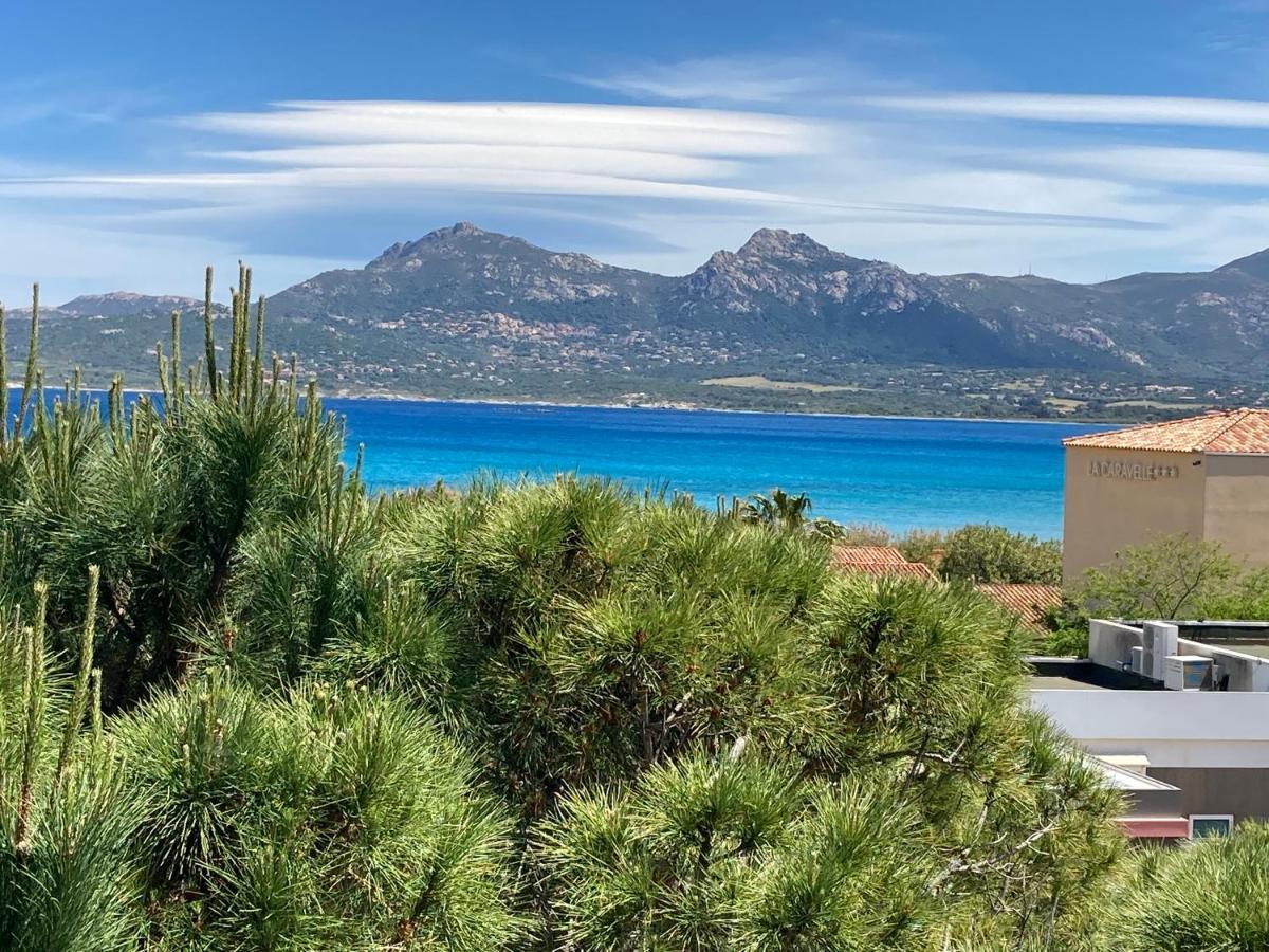 Corse Calvi Appt Cote Mer Exterior foto