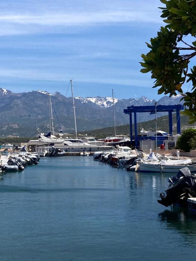 Corse Calvi Appt Cote Mer Exterior foto