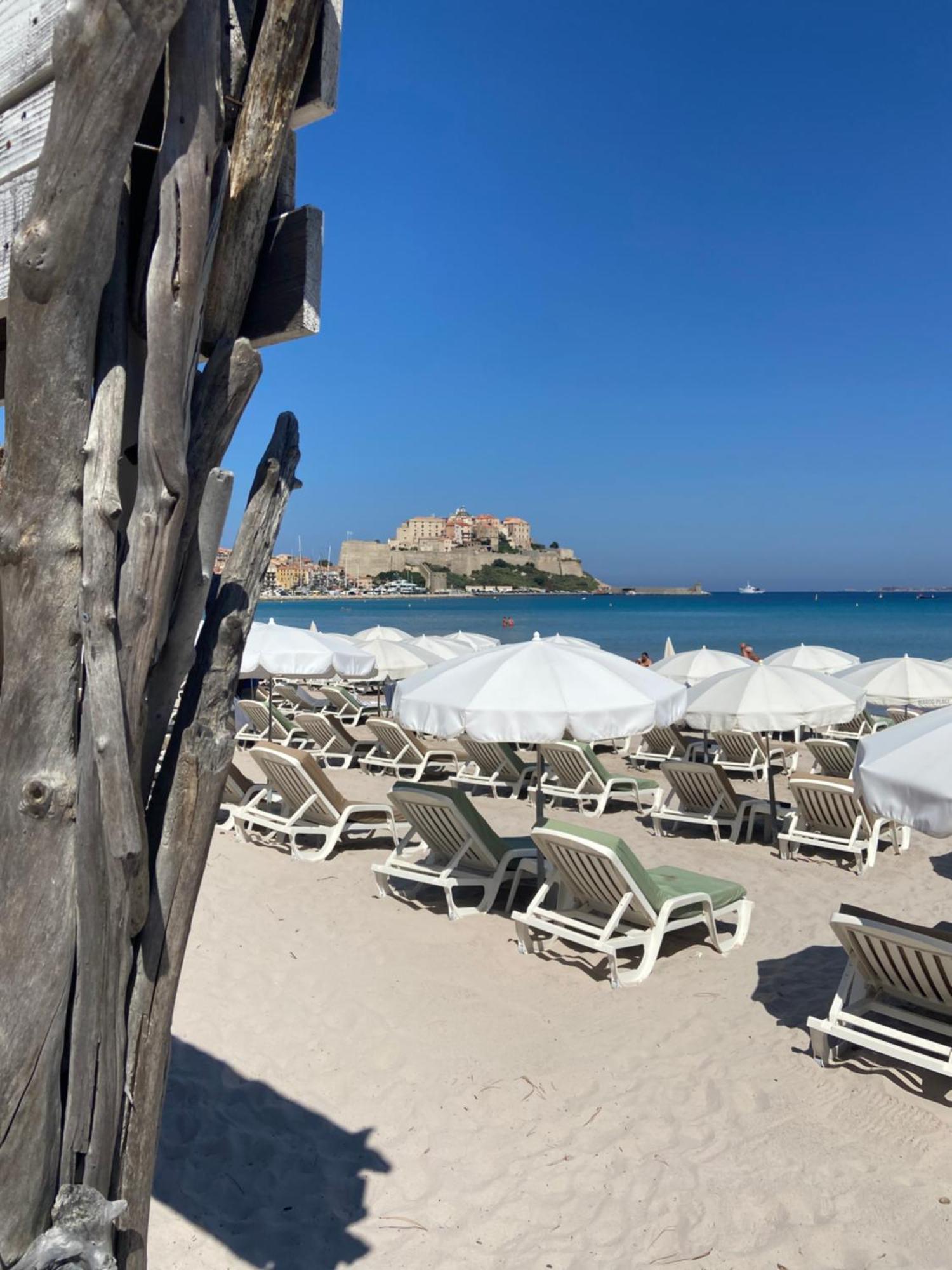 Corse Calvi Appt Cote Mer Exterior foto