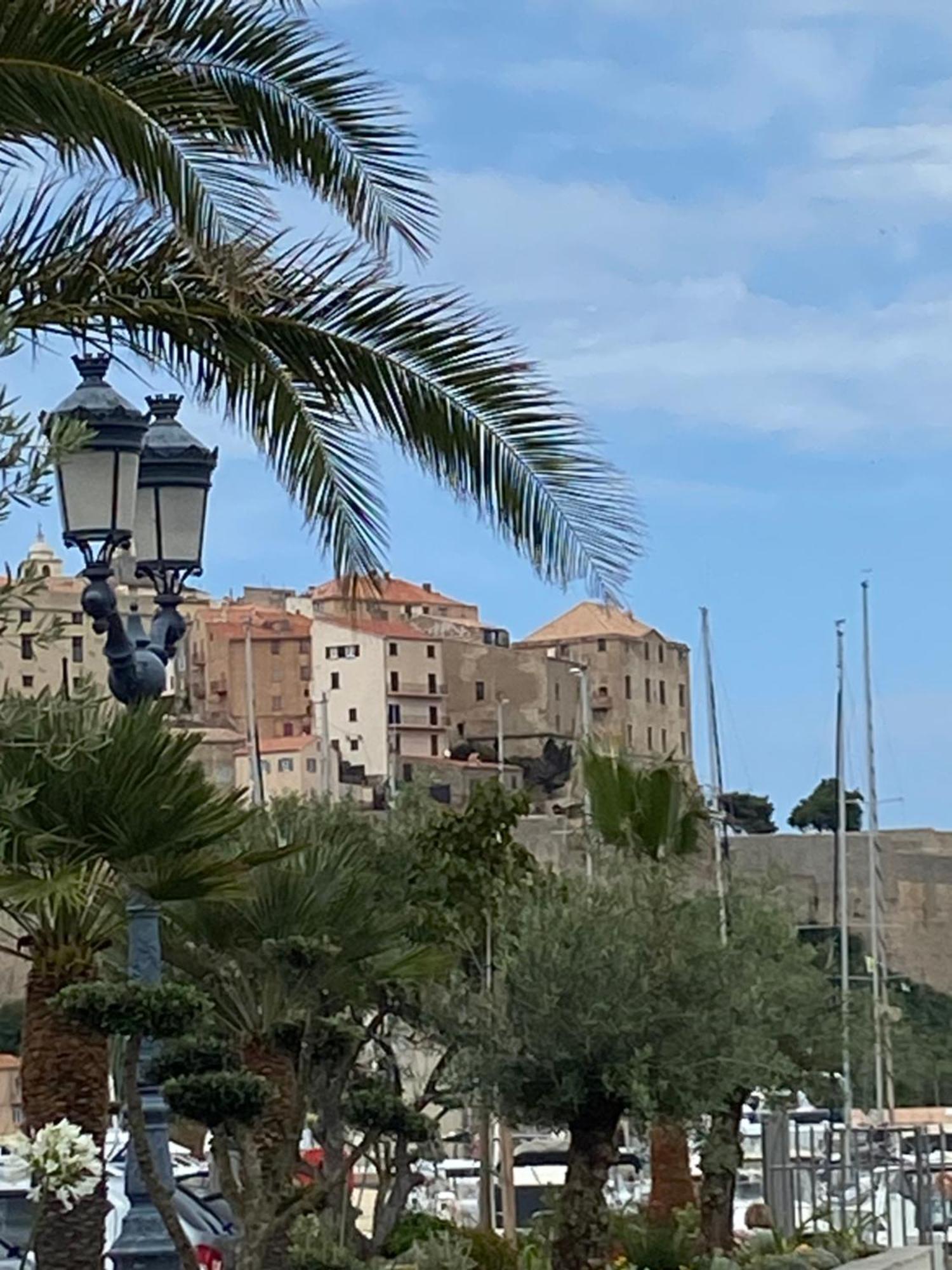 Corse Calvi Appt Cote Mer Exterior foto